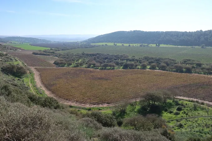 El valle de Ela, donde David se enfrentó a Goliat
