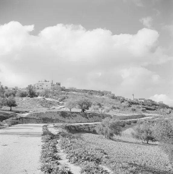 Acrópolis de Samaria, capital de los amridas, con los restos del palacio real