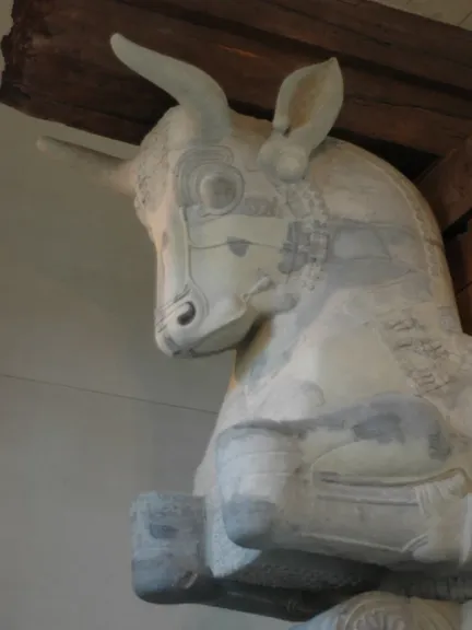 Capitel de toros de la sala de audiencias de Susa, la ciudadela de la visión