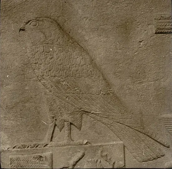 Halcón real de Sesostris III, en el templo de Montu de Medamud