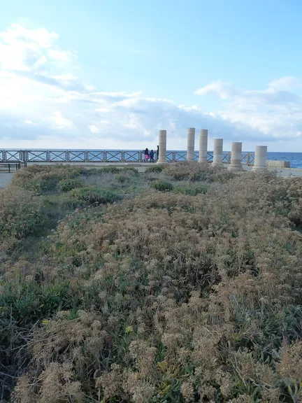 La piscina del palacio, tallada en la roca al borde del oleaje: el lujo romano trasplantado a la costa de Judea